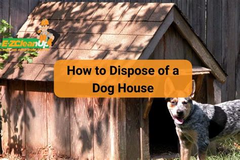 How to Dispose of a Dog House: List of Options 